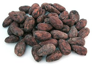 Credit: S. Madell, chocolatereview.com Unroasted cocoa beans.