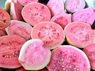 Credit: Jorge Zaldivar, PG Tropicals Redland guava from Homestead