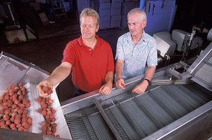 Entomologist Peter Follett (left) and tropical fruit grower Michael Strong installed the first hot water immersion quarantine treatment unit for lychee and longan, shown here, at Kahili Farms on the Island of Kauai.