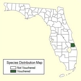 Momordica Balsamina Distribution Range