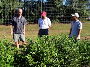 Credit: Donglin Zhang, University of Georgia UGA Horticulture Farm
